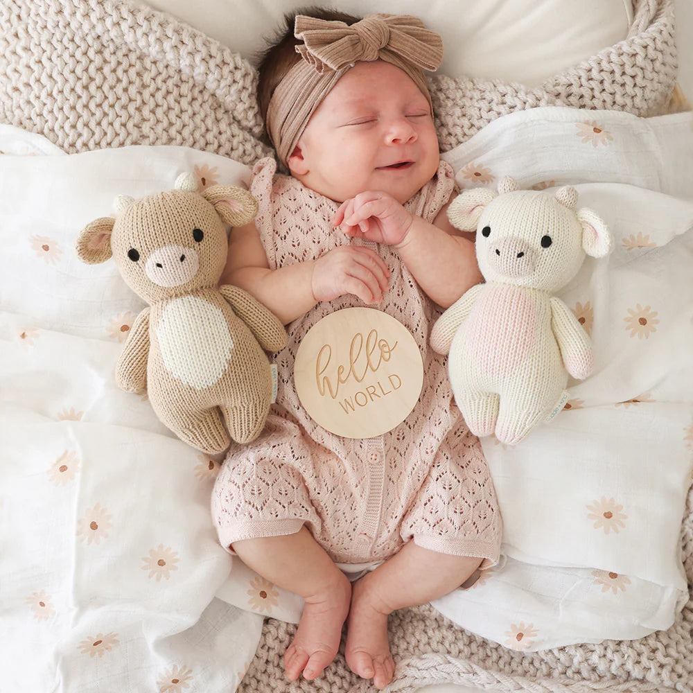 Baby Cow (Jersey) - cuddle + kind