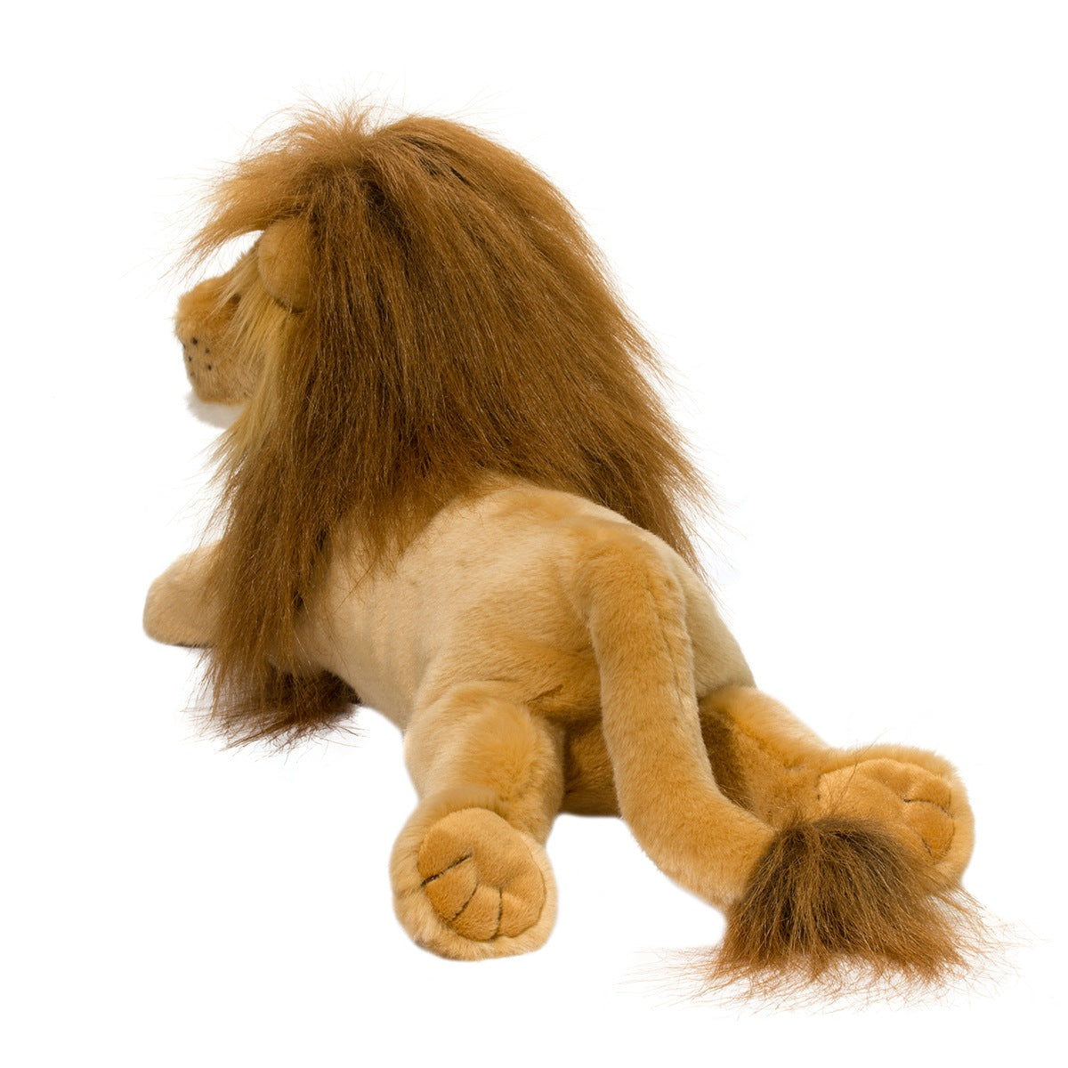 Zeus the Lion