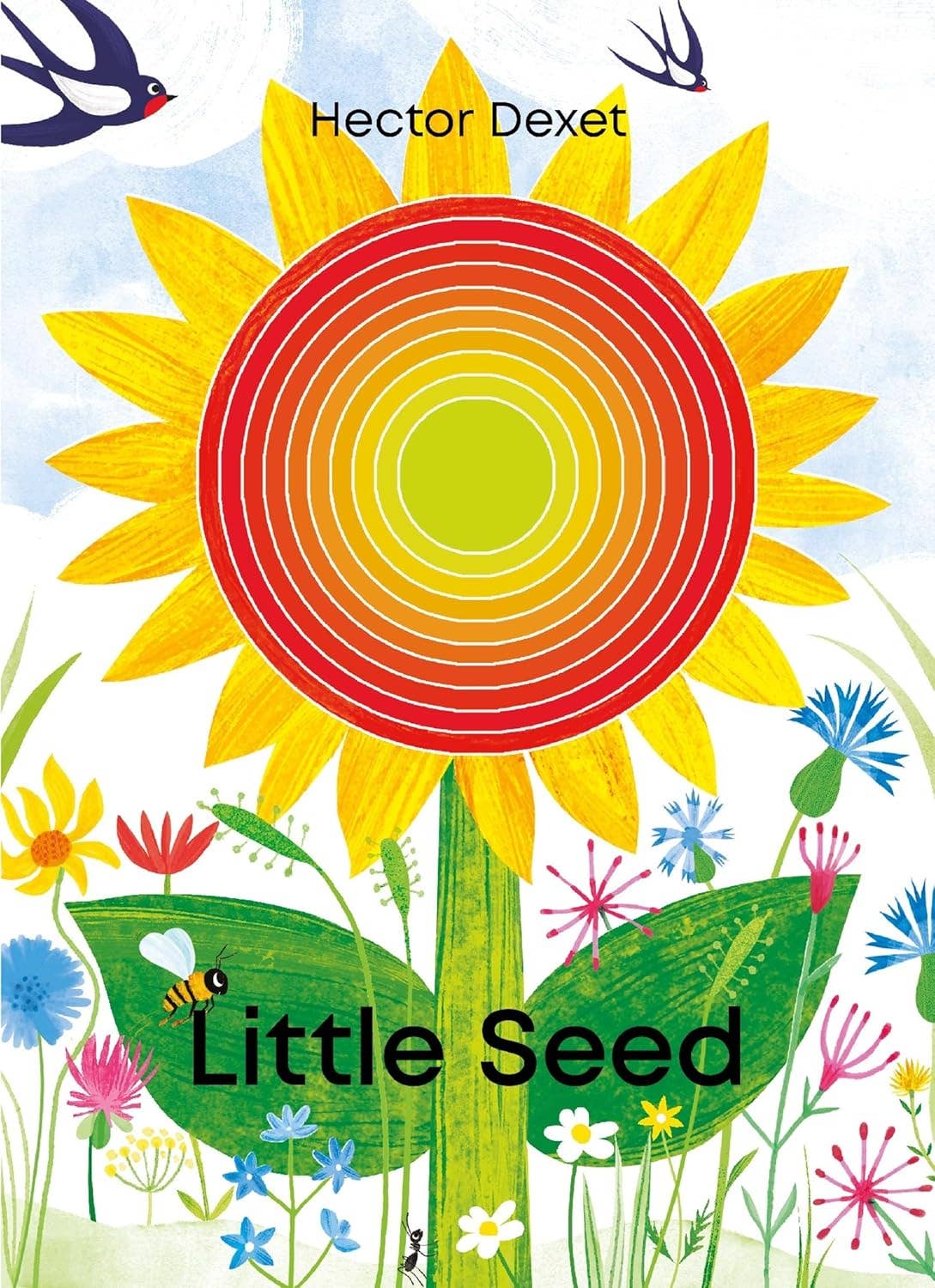 Little Seed Lift-the-Flap Book