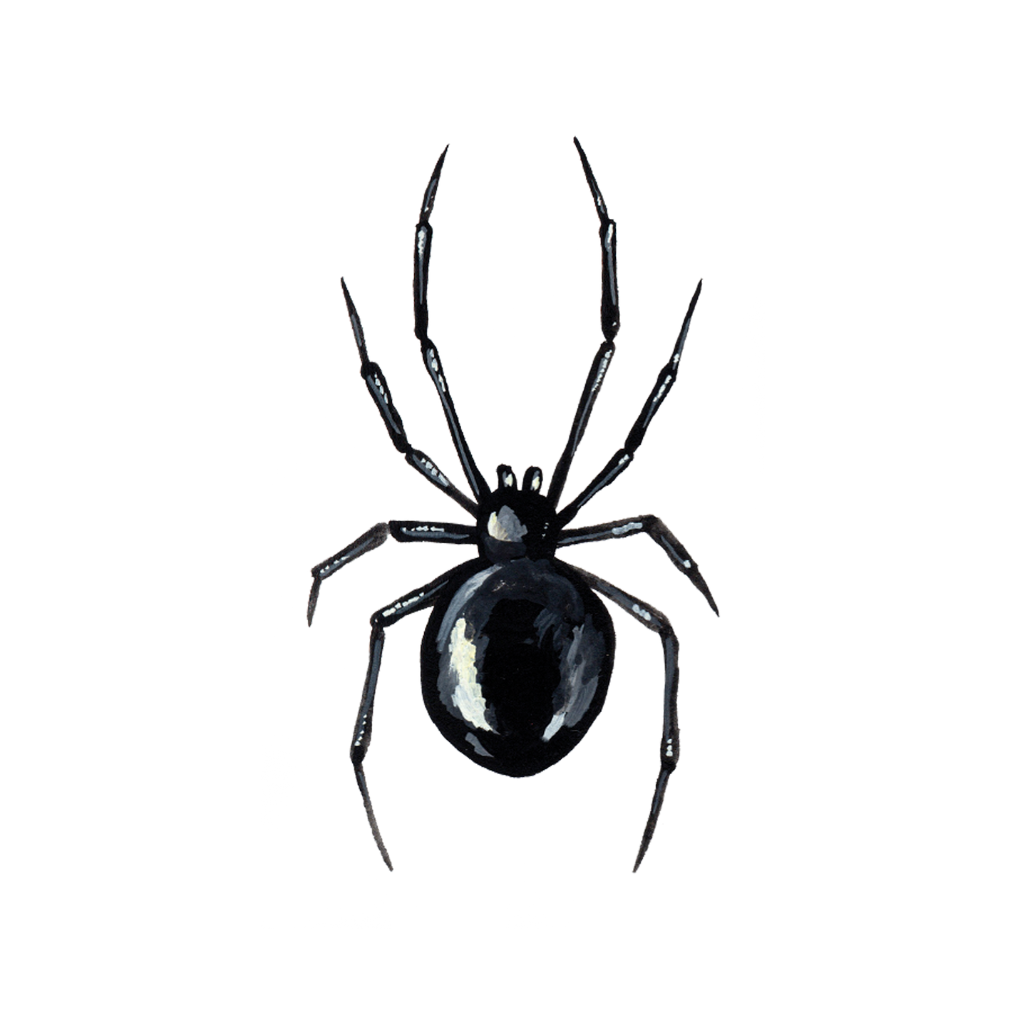 Black Widow Temporary Tattoo Pair - Tattly