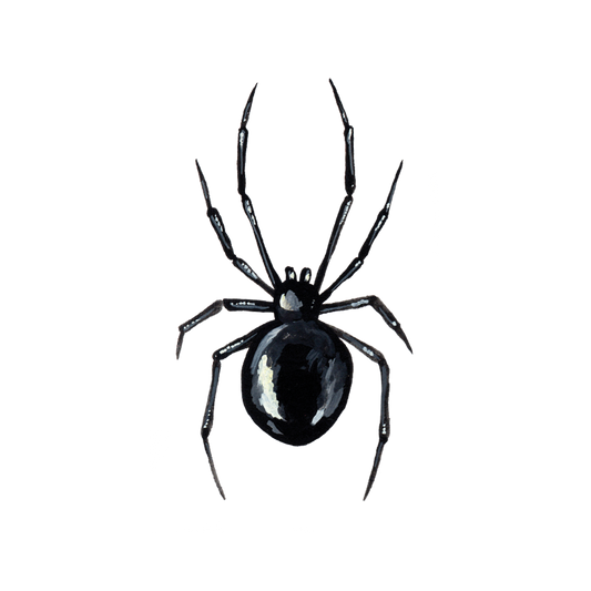 Black Widow Temporary Tattoo Pair - Tattly