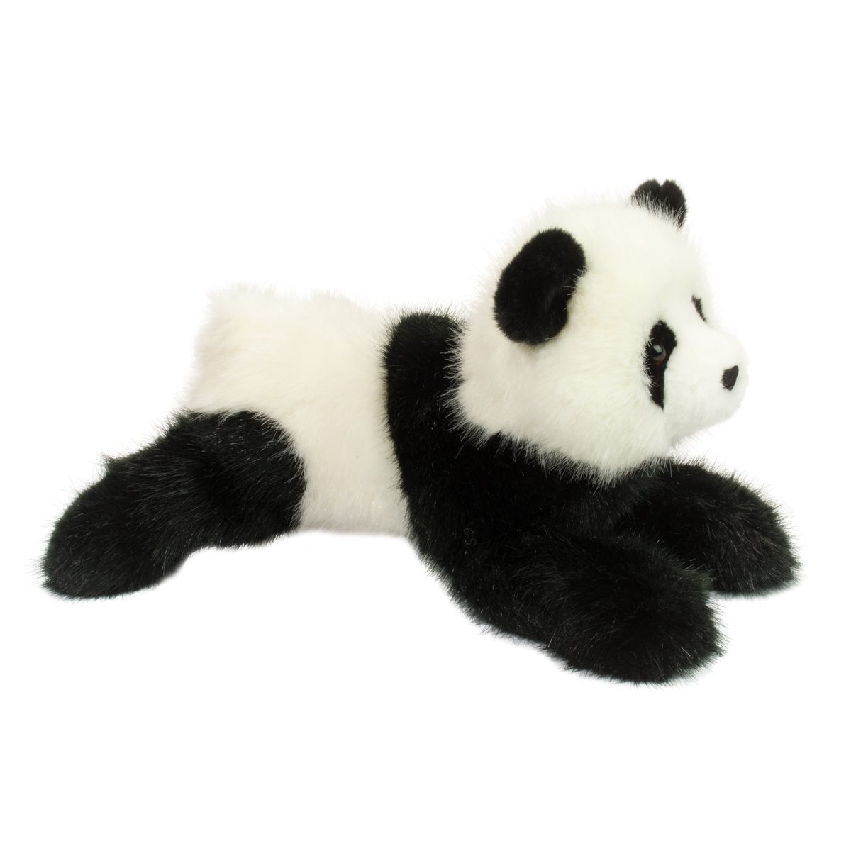 Wasabi the Panda