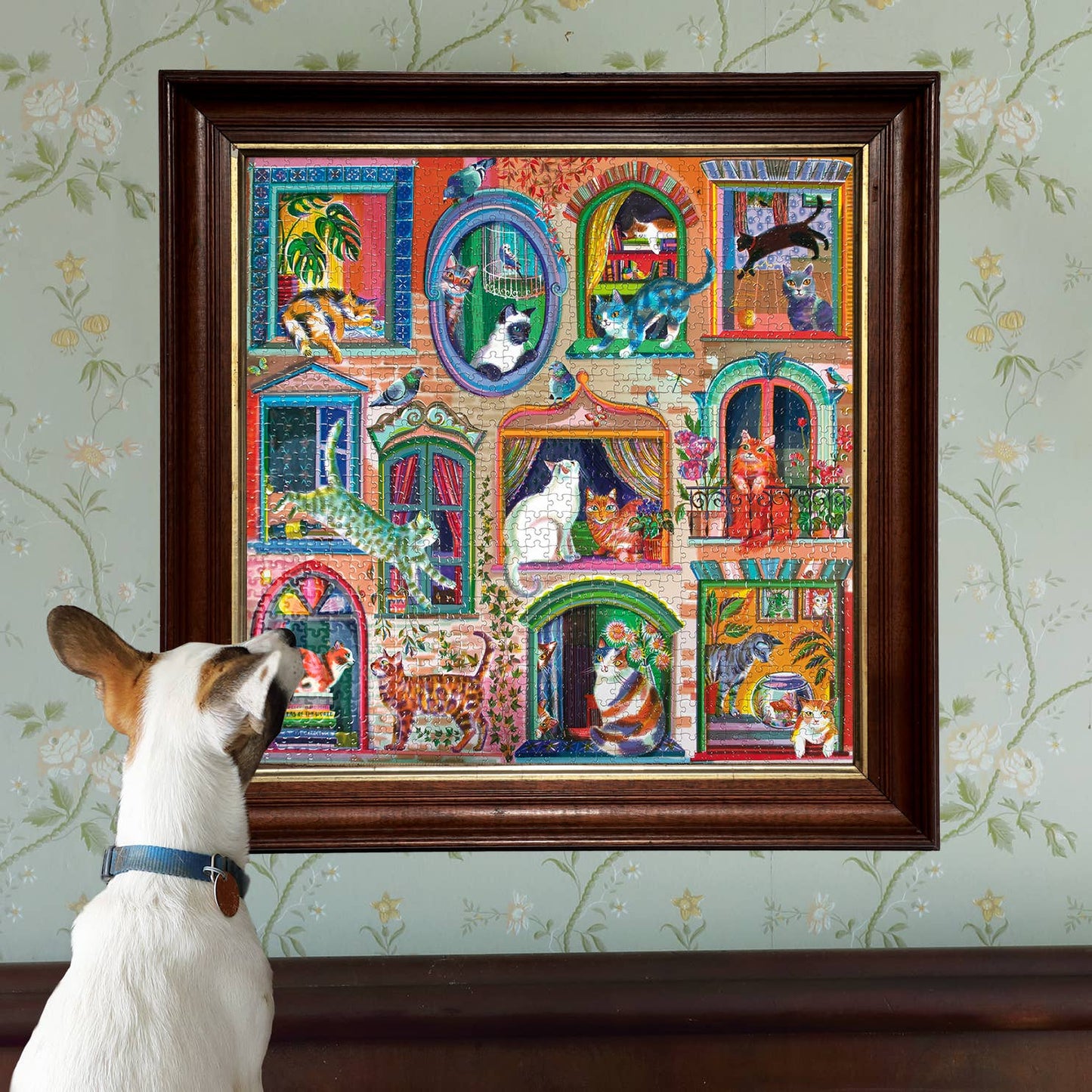 Cats in Windows 1000 Piece Square Puzzle by eeBoo