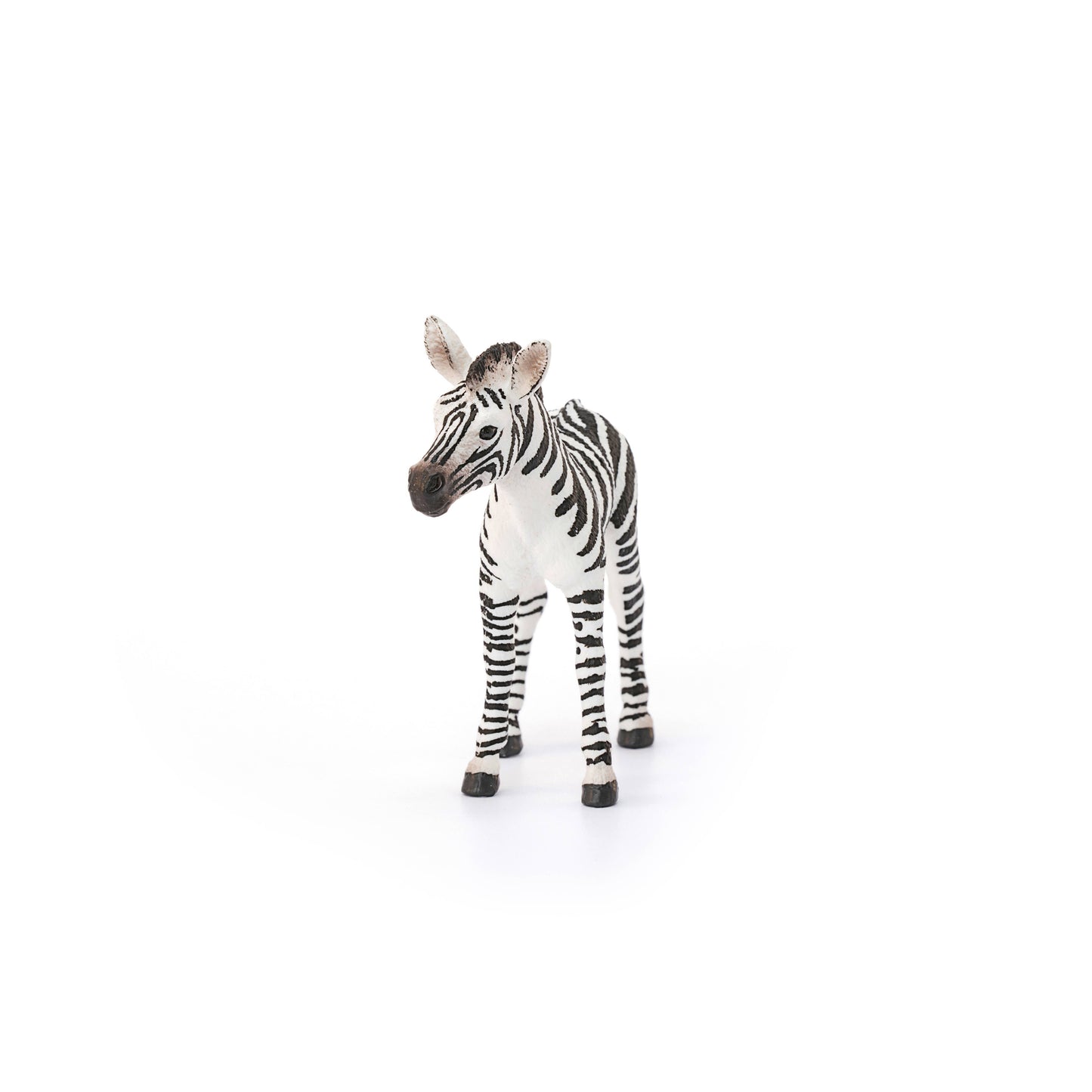 Zebra Foal Toy