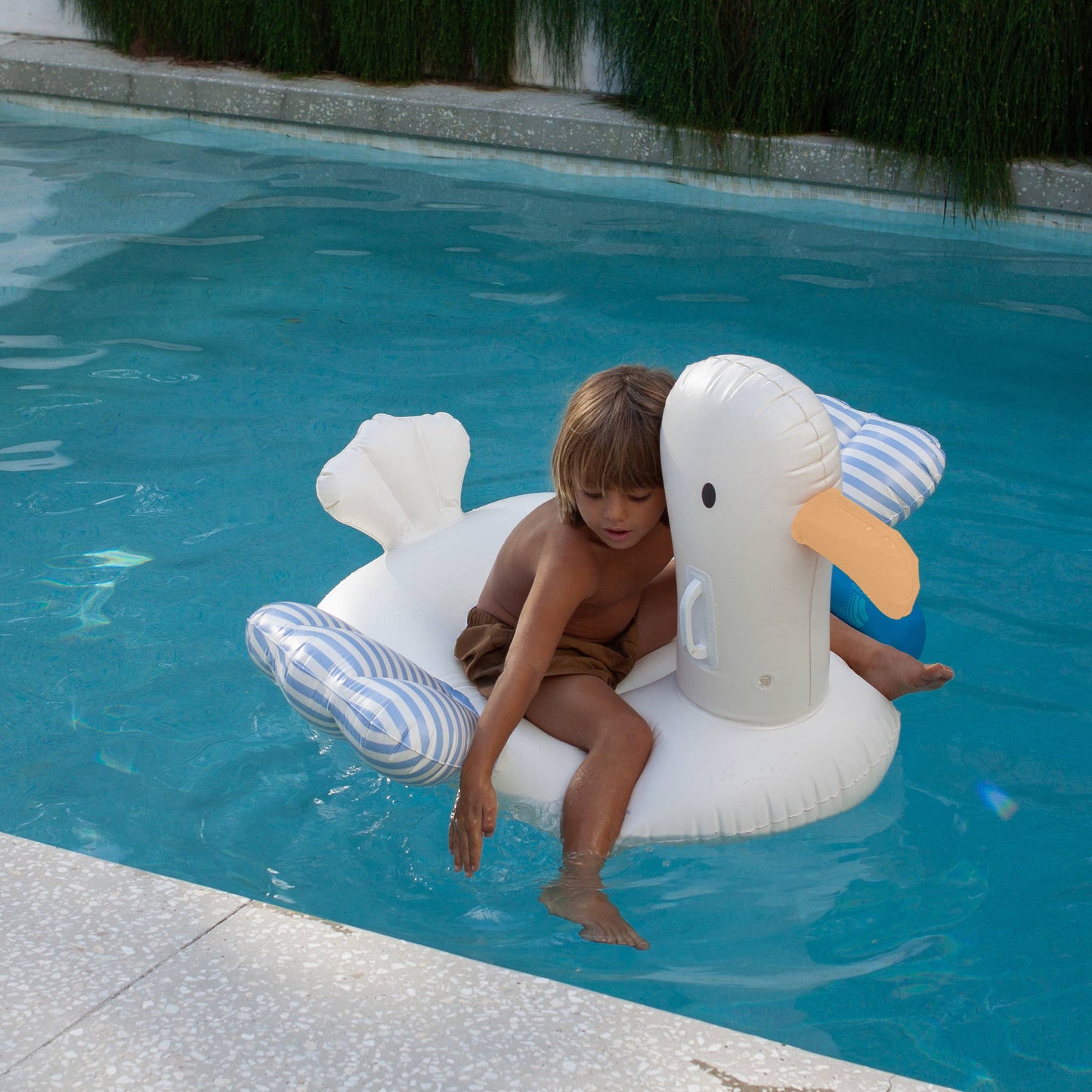 Kids Ride-On Sid the Seagull Blue Stripe