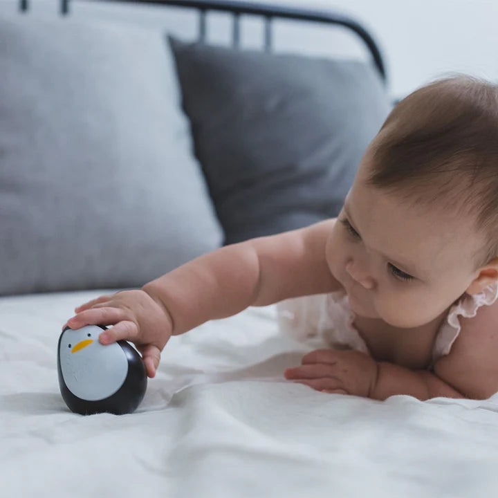 Penguin Wobbler by PlanToys