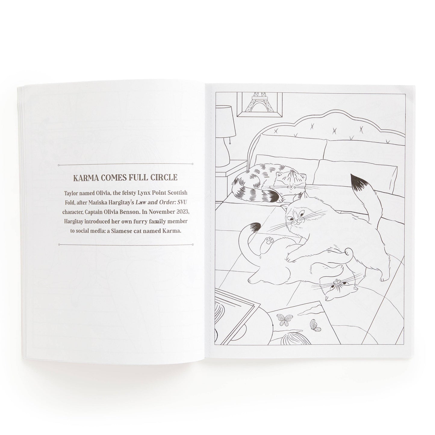 Karma is Three Cats Taylor Swift Coloring Book
