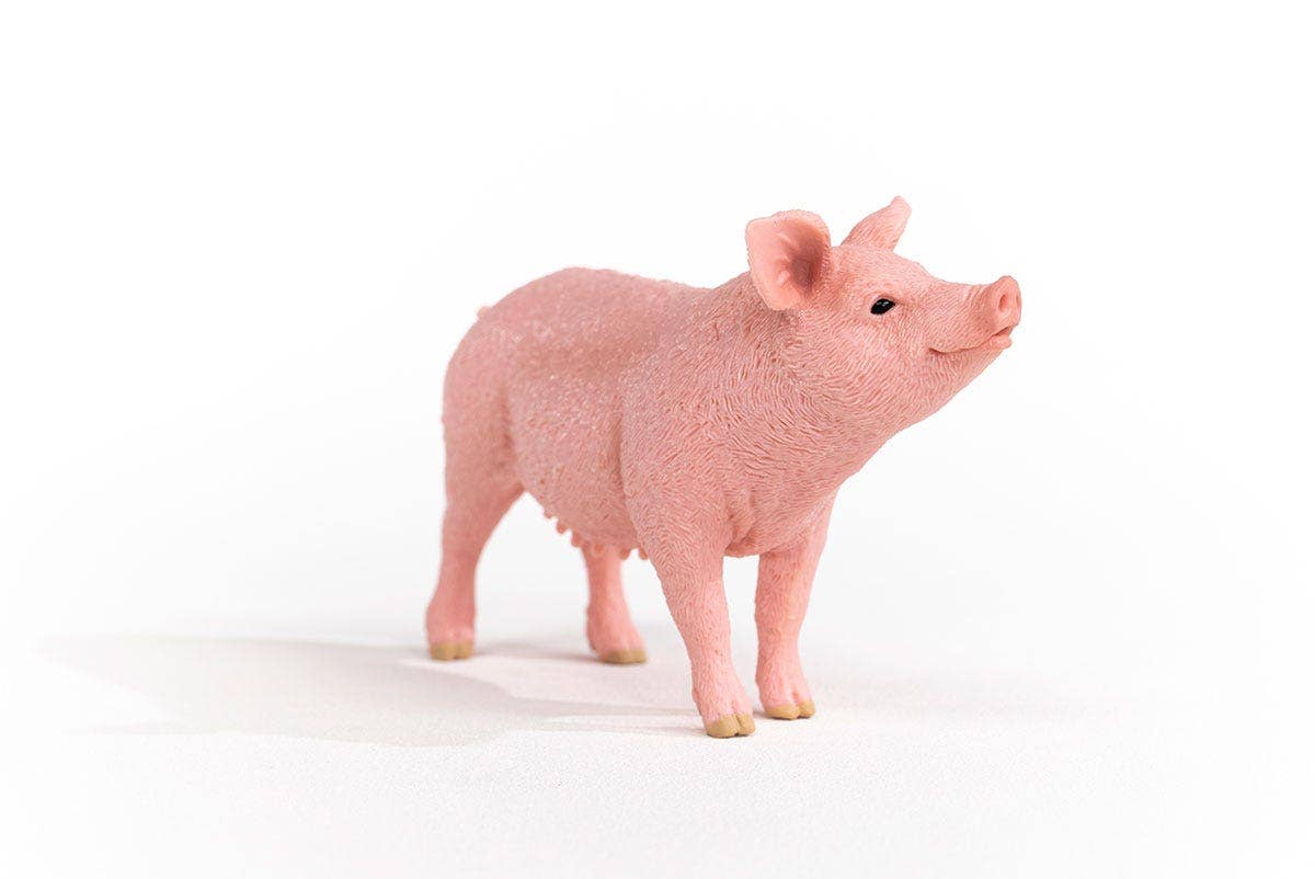 Schleich Pig