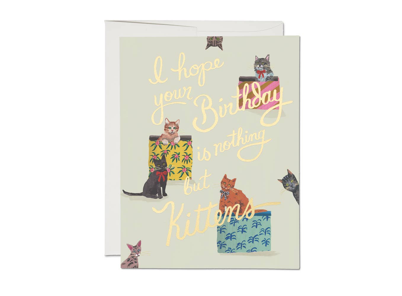 Nothing But Kittens Greeting Card