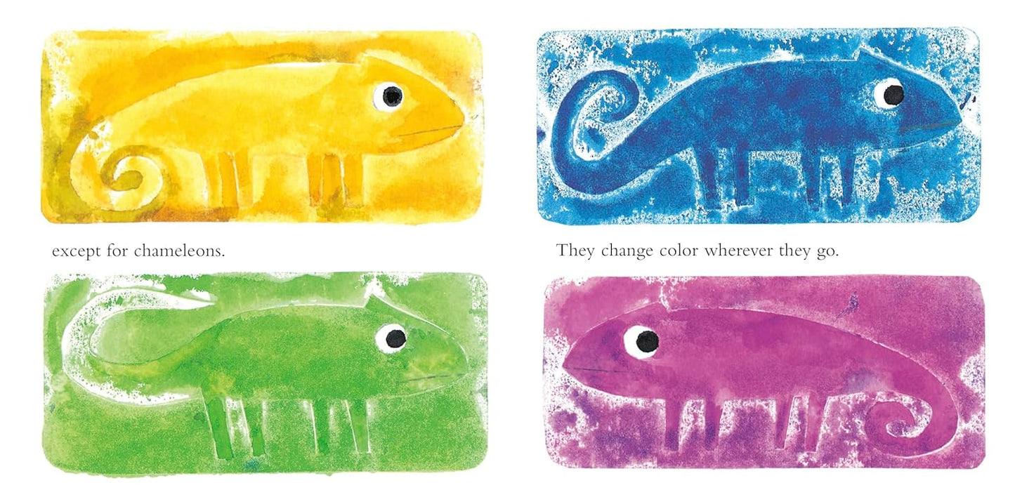 A Color of His Own Board Book with Color Wheel