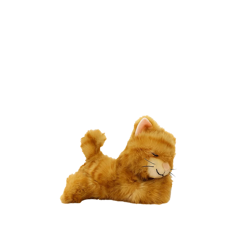 Binky Kitten Koda Ginger