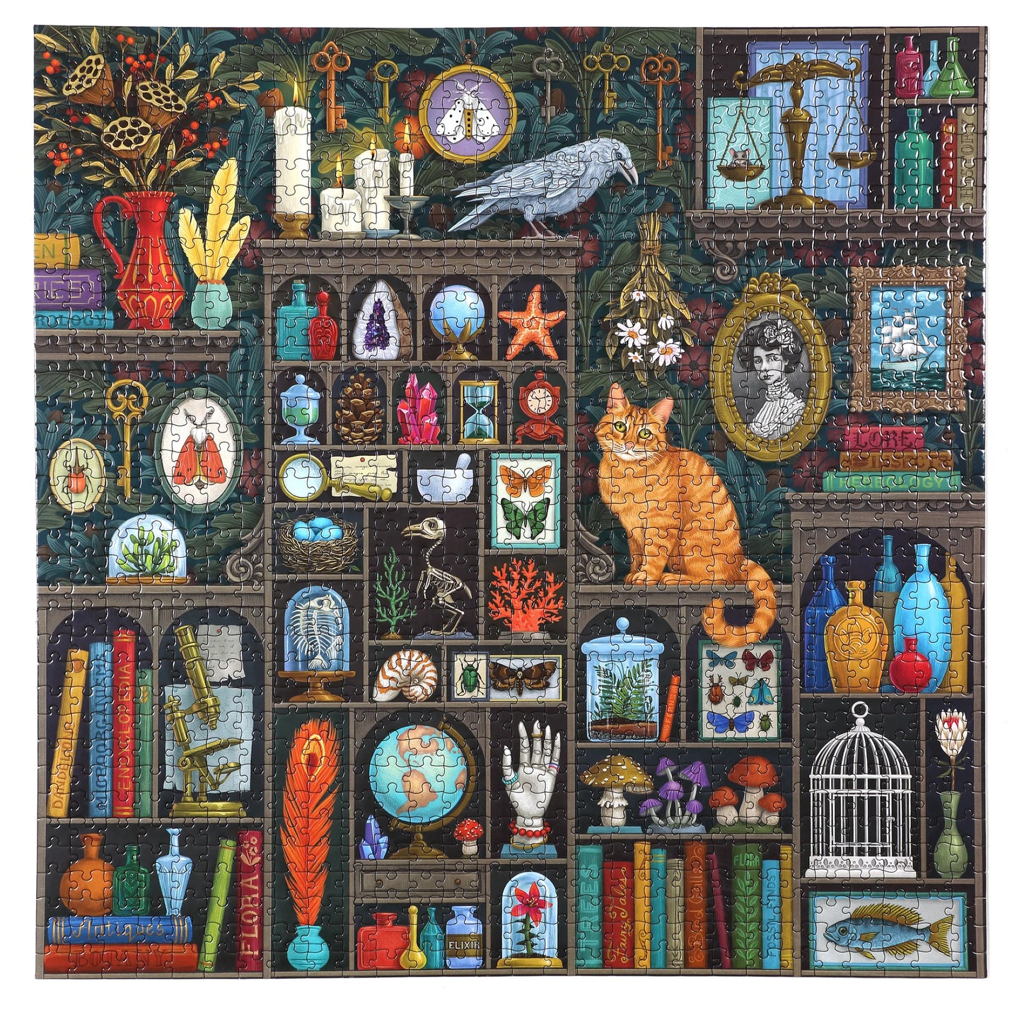 Alchemist's Cabinet 1000 Piece Puzzle by Eeboo