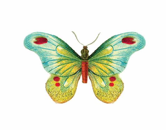 Butterfly 1 Tattoo Pair
