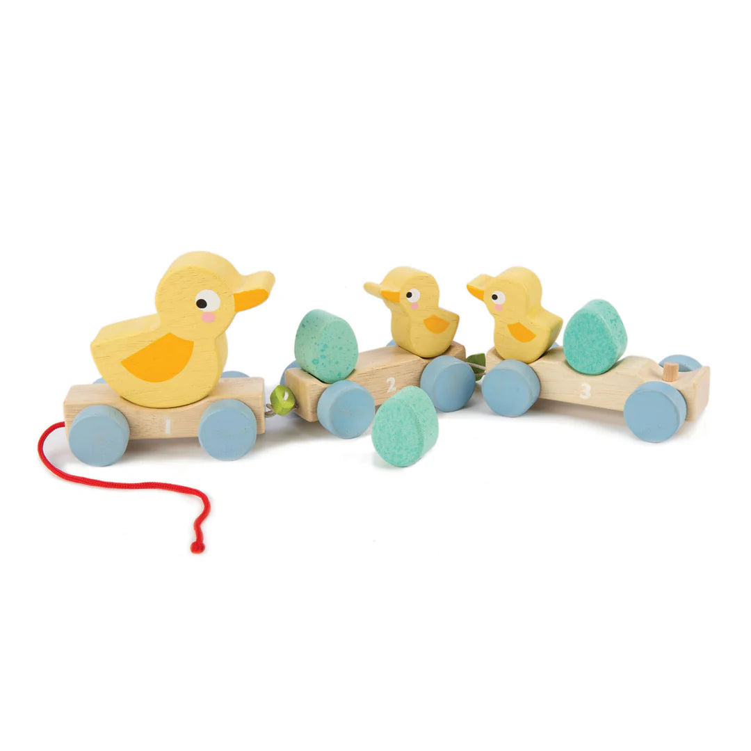 Pull Along Ducks by Tender Leaf Toys