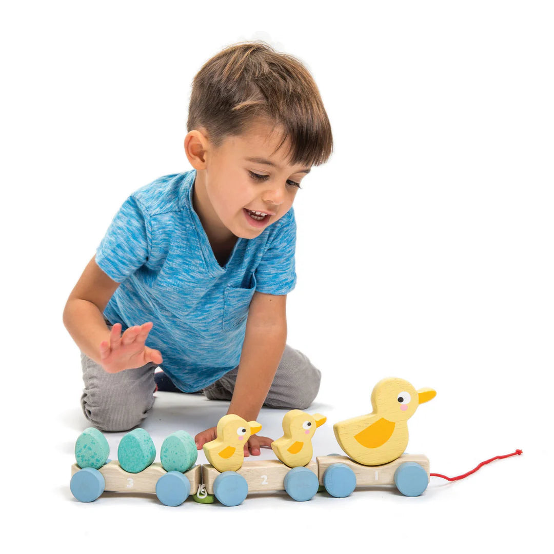 Pull Along Ducks by Tender Leaf Toys