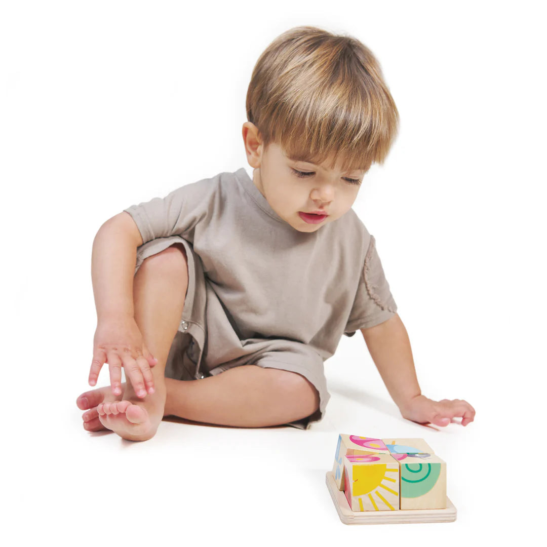 Baby Blocks by Tender Leaf Toys