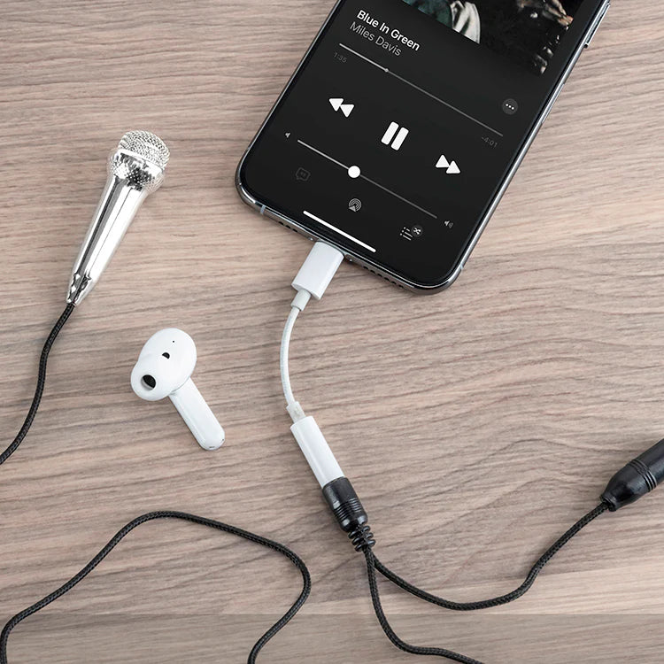 Plug & Play Mini Microphone
