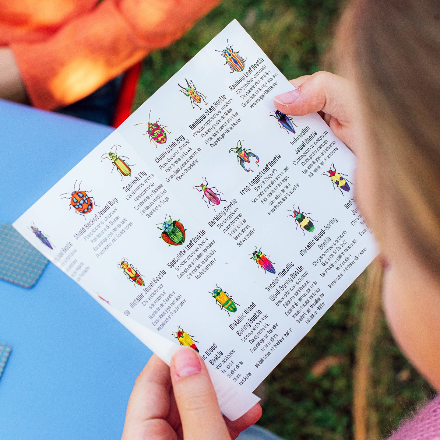 Beetles Little Memory & Matching Game by eeBoo