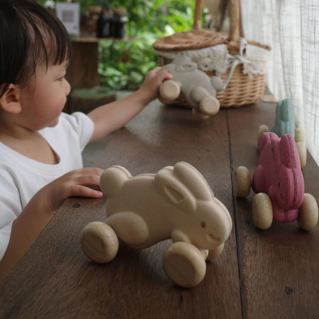 Push Along Bunny by PlanToys