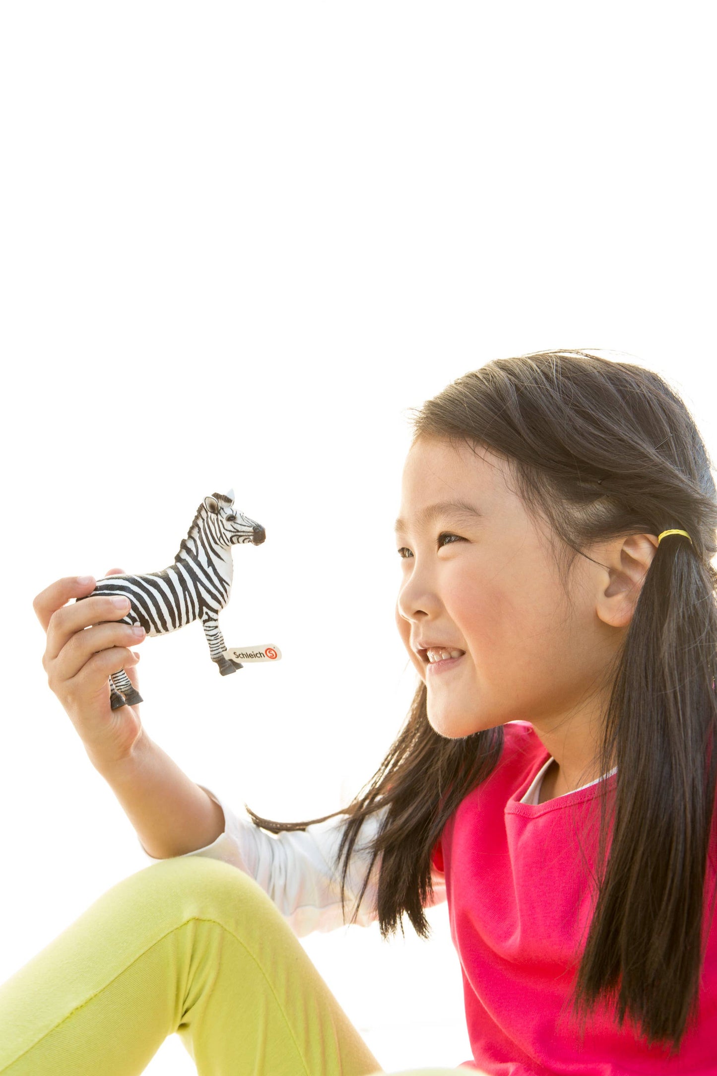 Zebra Foal Toy