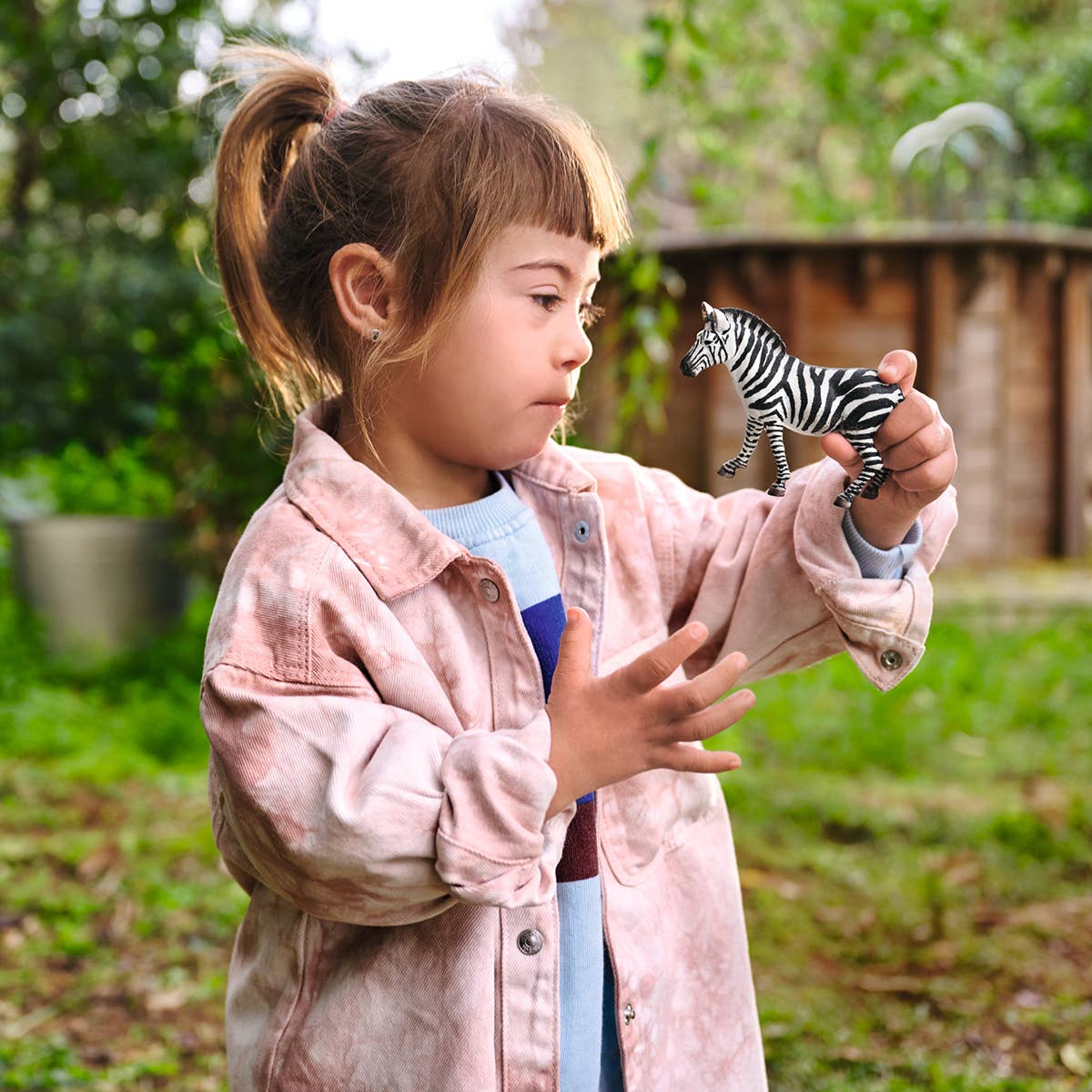 Zebra Toy