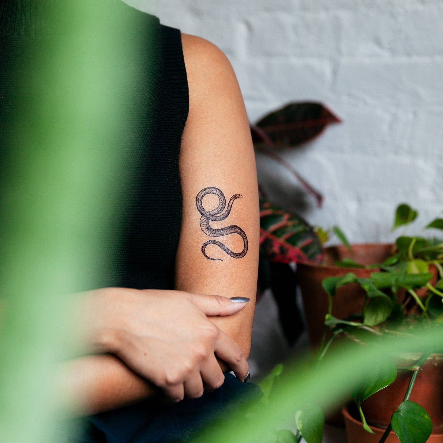 Serpent Temporary Tattoo Pair - Tattly