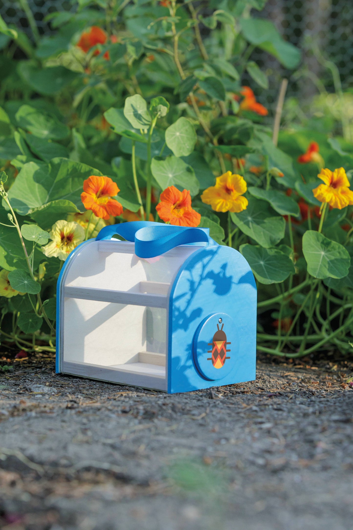 Beetle & Bee Critter Case