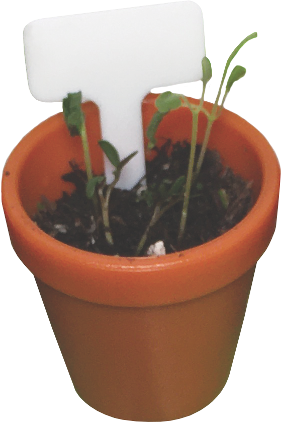 Tiny Gardening! Miniature Gardening Kit
