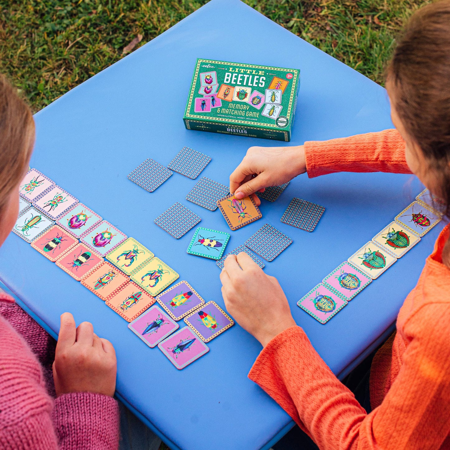 Beetles Little Memory & Matching Game by eeBoo