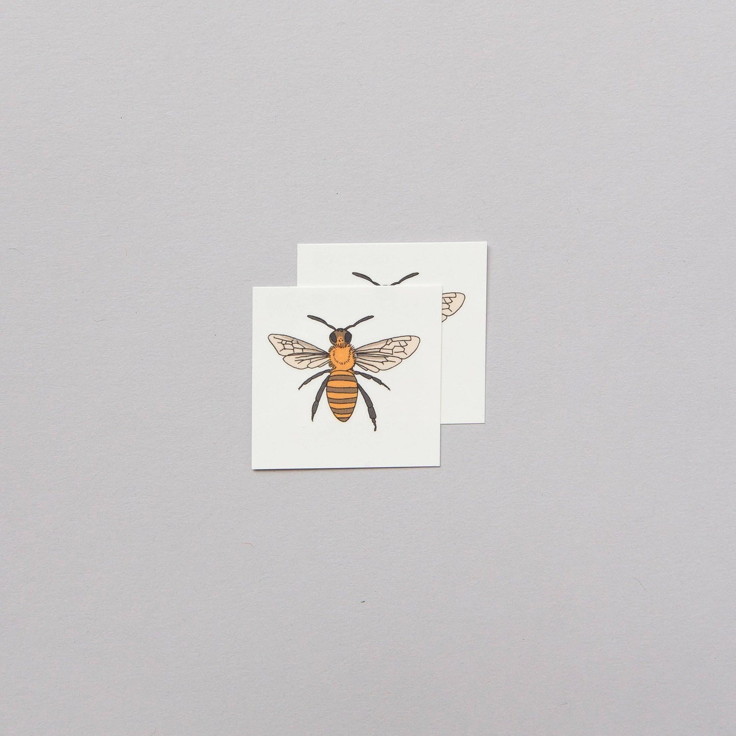 Honey Bee Temporary Tattoo Pair - Tattly