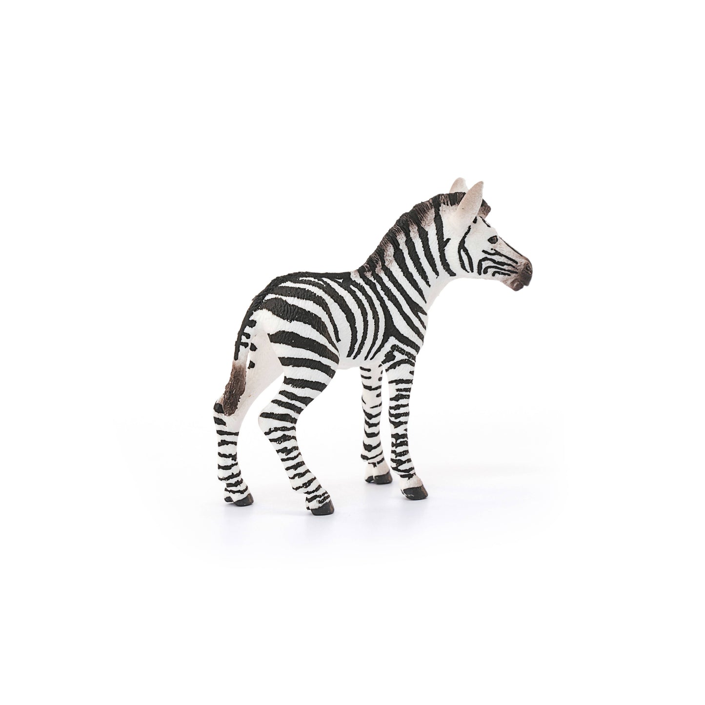 Zebra Foal Toy