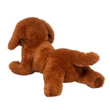 Delanie Dachshund