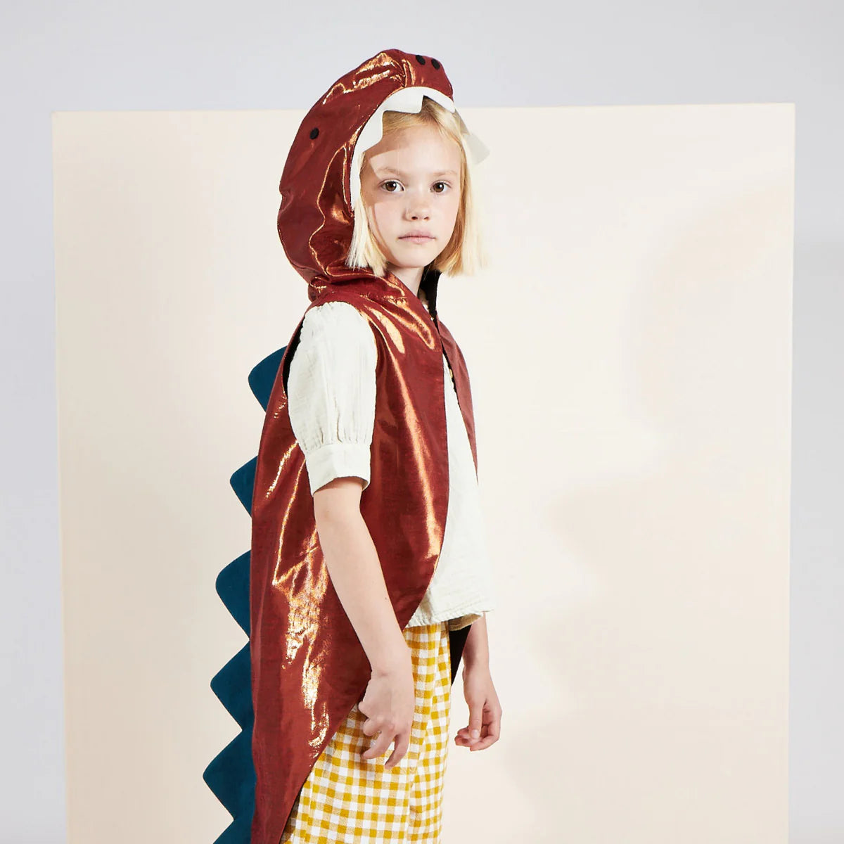 Dinosaur Costume by Meri Meri