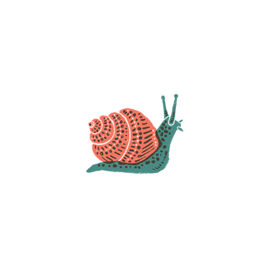 Snail Temporary Tattoo Pair - Tattly