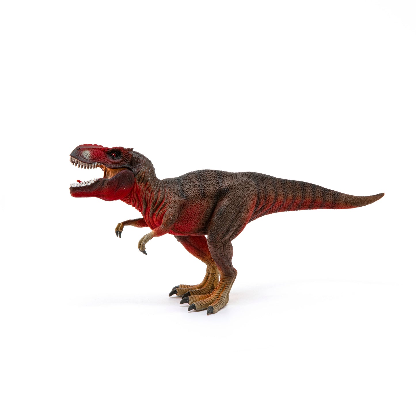 Red Tyrannosaurus Rex Dinosaur