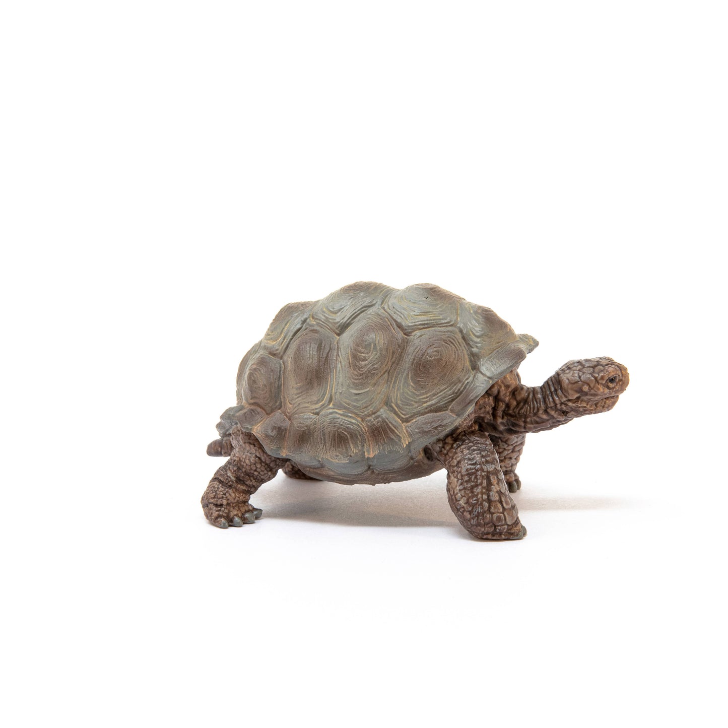 Schleich Giant Tortoise