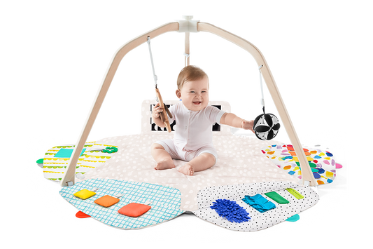 The Play Gym by Lovevery