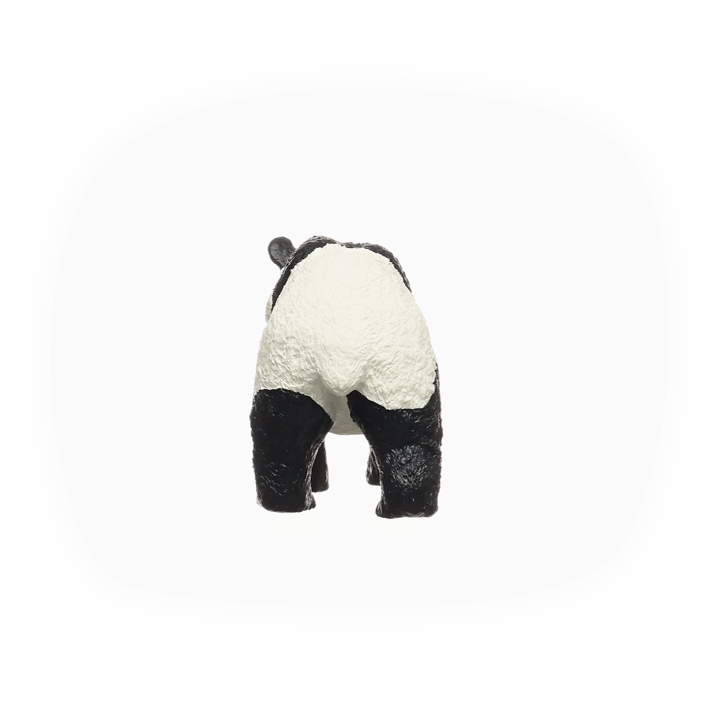 Giant Panda