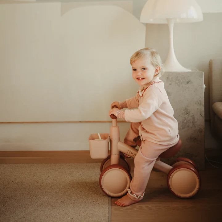 Mini Toddler Bike (Assorted Colors)