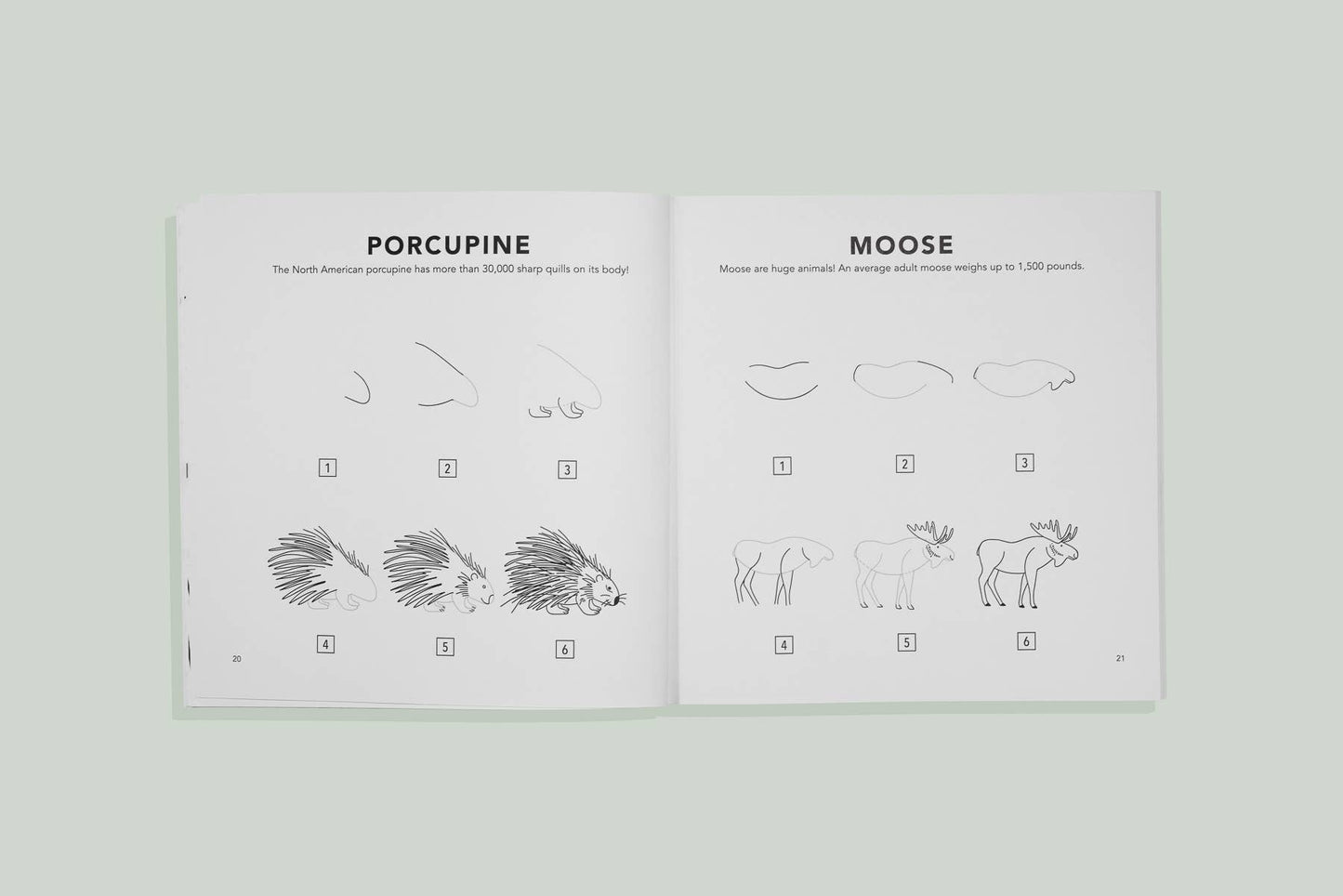 Mushrooms & Woodland Creatures: How to Draw Book For Kids