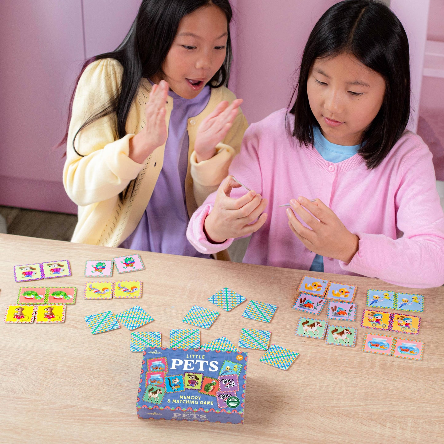 Pets Little Matching Game
