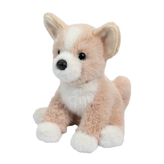 Mini Pookie Pomsky