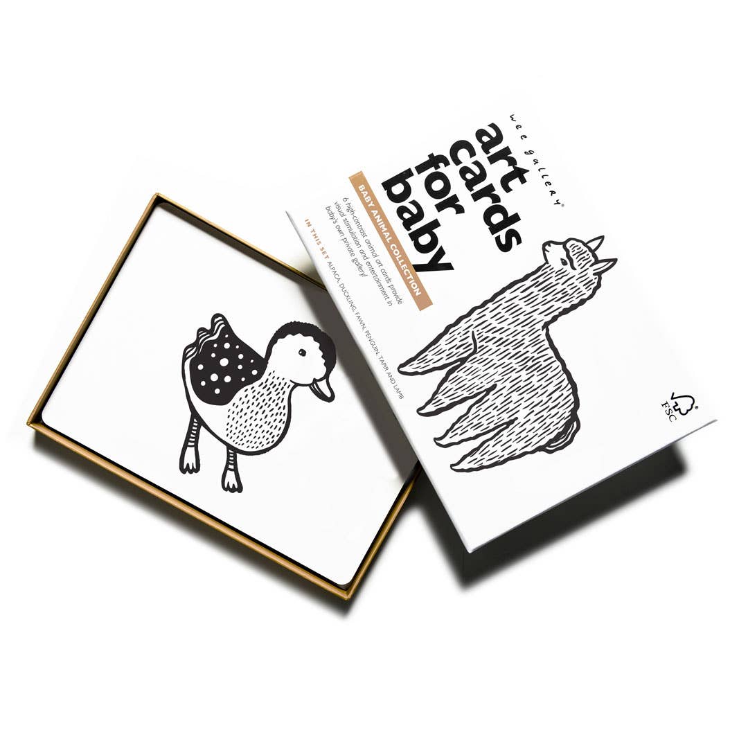 Art Cards for Baby, Baby Animals