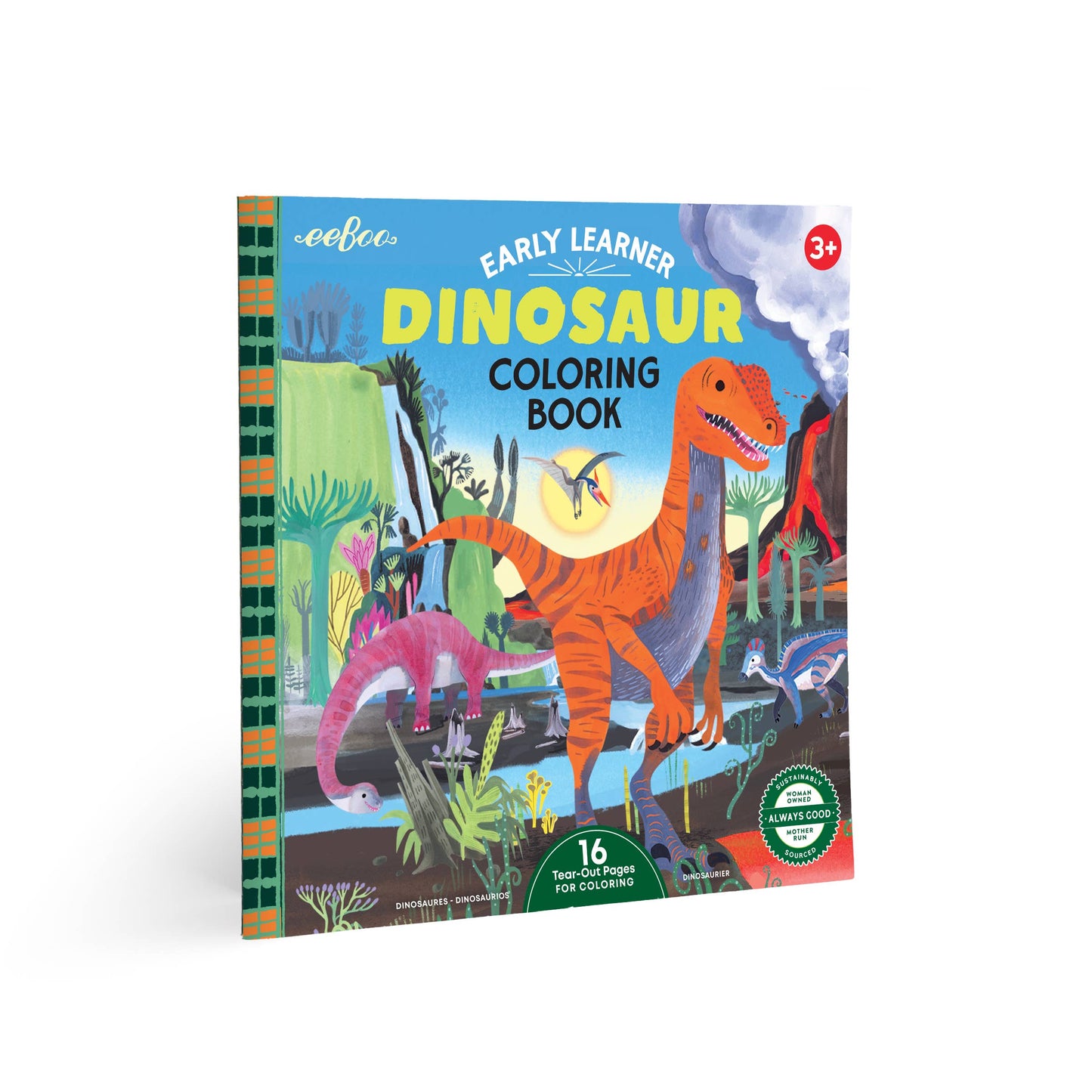 Dinosaur Square Coloring Book