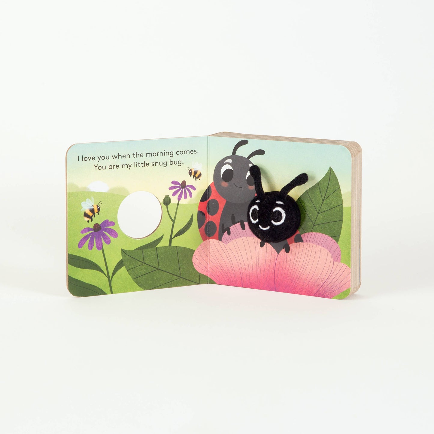 Little Love Bug Book