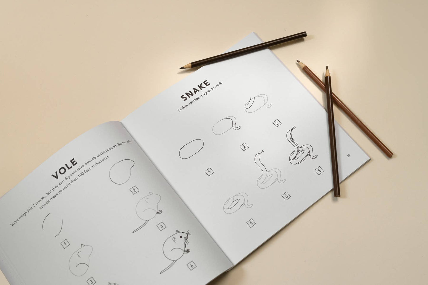 Mushrooms & Woodland Creatures: How to Draw Book For Kids