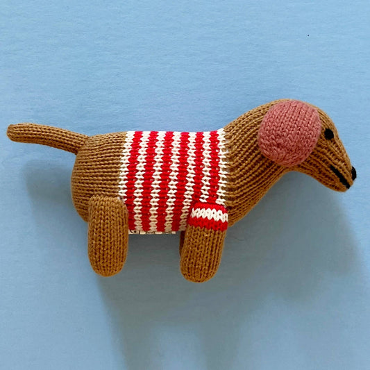 Dog Rattle in Red Striped Sweater