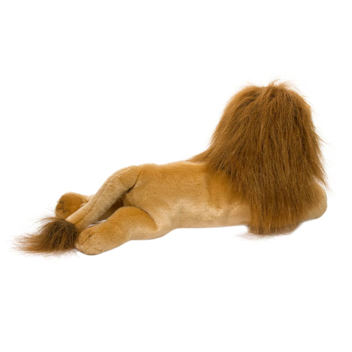 Zeus the Lion