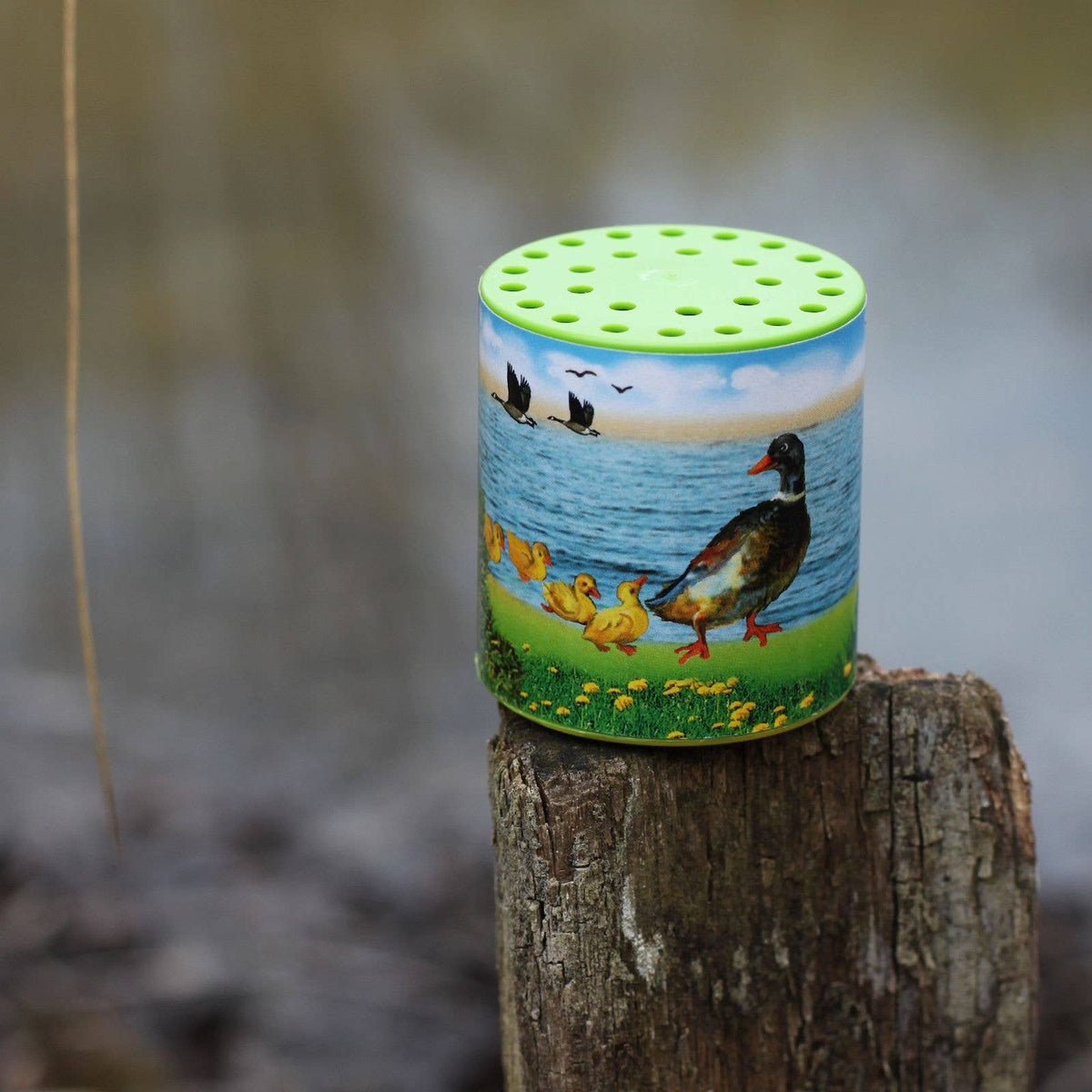 Duck Animal Sound Box