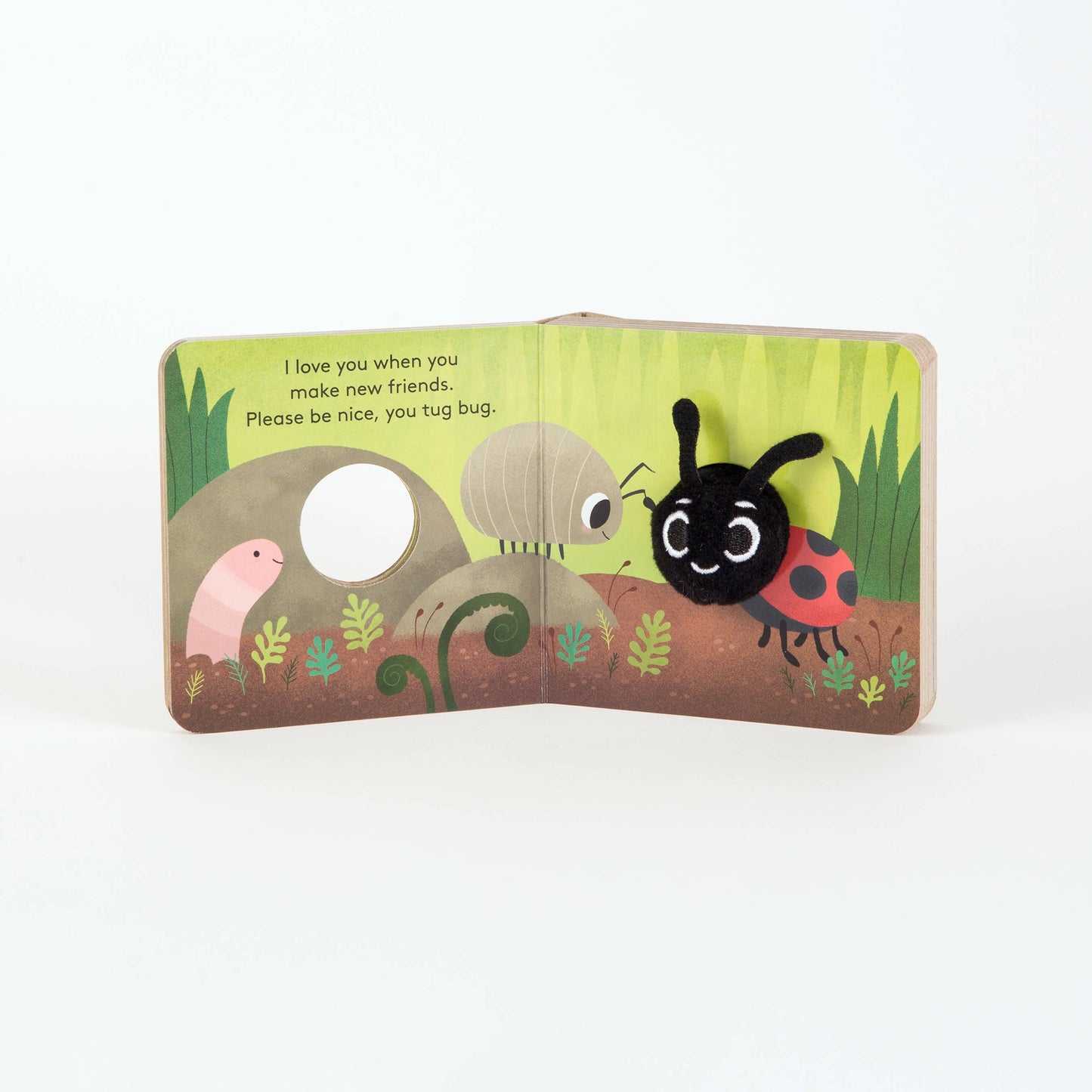 Little Love Bug Book